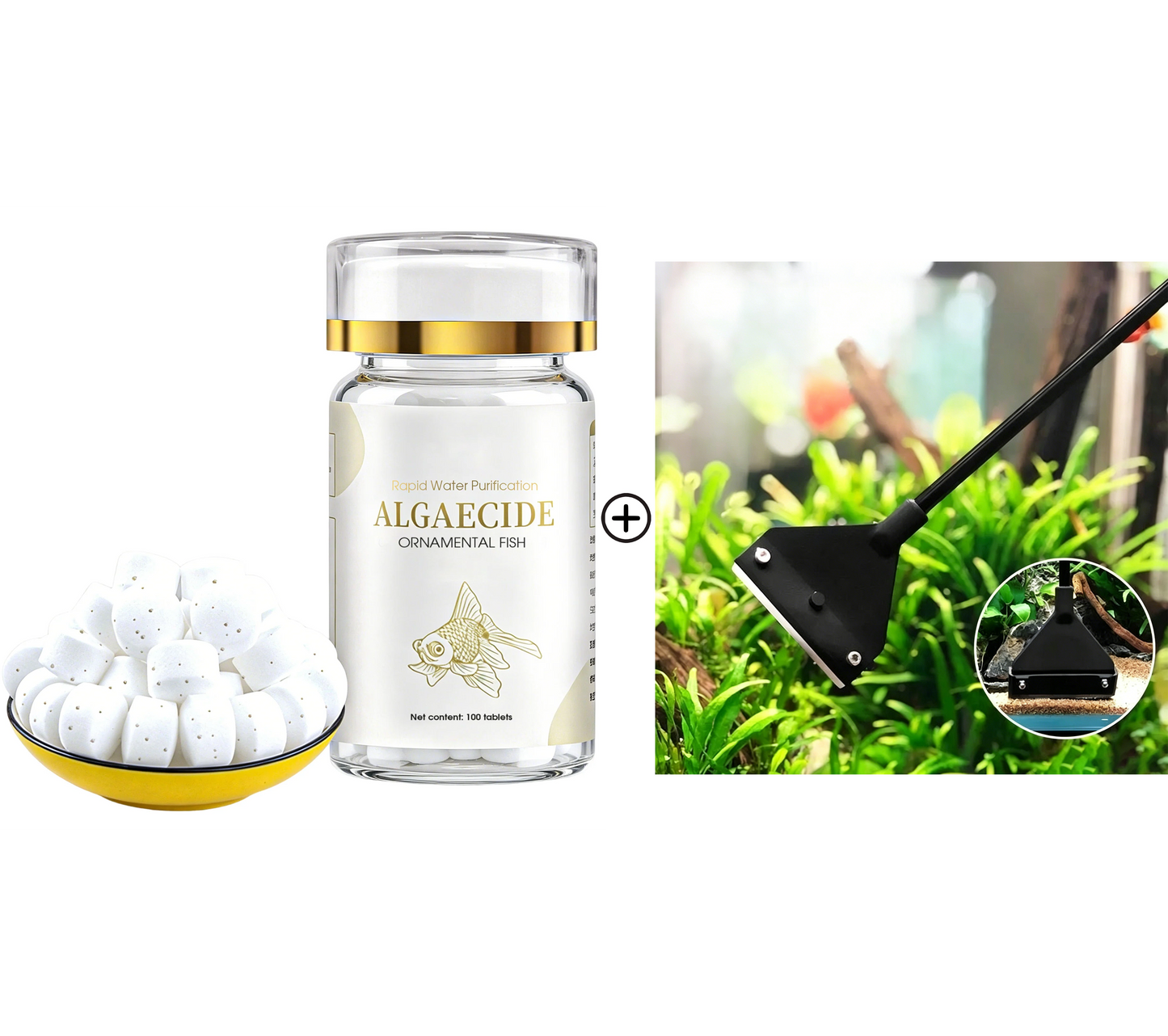 🐟💧50% RABATT🔥Effektives Mittel gegen grünes Wasser & Moos im Aquarium – kristallklares Wasser in kurzer Zeit ✨