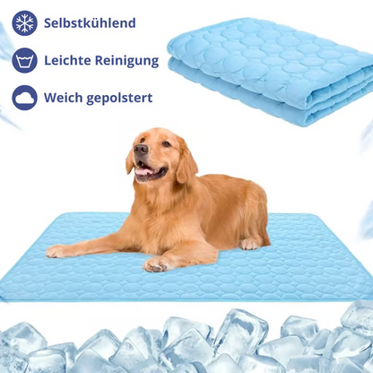 🐾❄️ 50% RABATT! Premium Kühlmatte für Hunde & Katzen – „Ice Silk“, atmungsaktiv, waschbar & in Farbverläufen – Perfekt für Sommer, Auto & Zuhause ✨