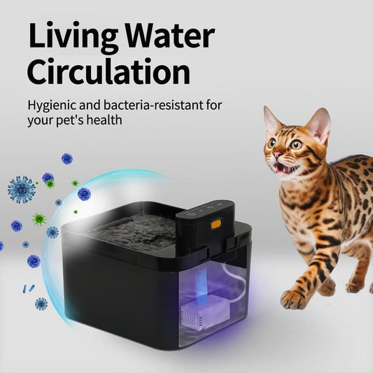 🐾💧 Kabelloser, geräuscharmer Katzenbrunnen 2,2L mit Bewegungssensor 🚰🐱 Batteriebetriebener Trinkbrunnen für Hunde & Katzen. Fördert die Wasseraufnahme, ideal für Haushalte mit mehreren Haustieren. Einfache Reinigung.