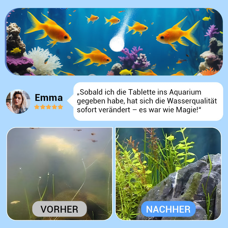 💥♻️Kaufe 3 Erhalte 2 Gratis💧Leistungsstarke Wasserreinigungstablette für Aquarien