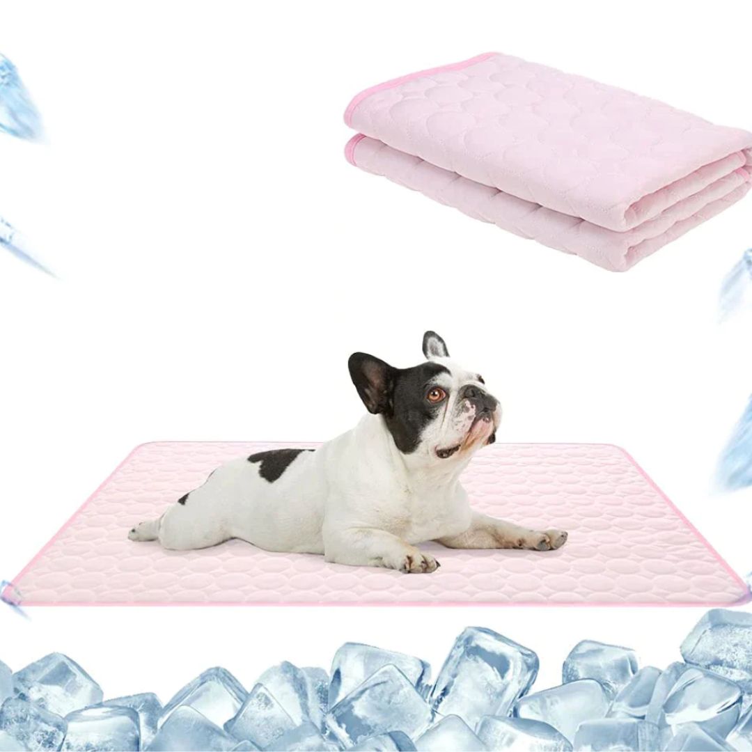 🐾❄️ 50% RABATT! Premium Kühlmatte für Hunde & Katzen – „Ice Silk“, atmungsaktiv, waschbar & in Farbverläufen – Perfekt für Sommer, Auto & Zuhause ✨