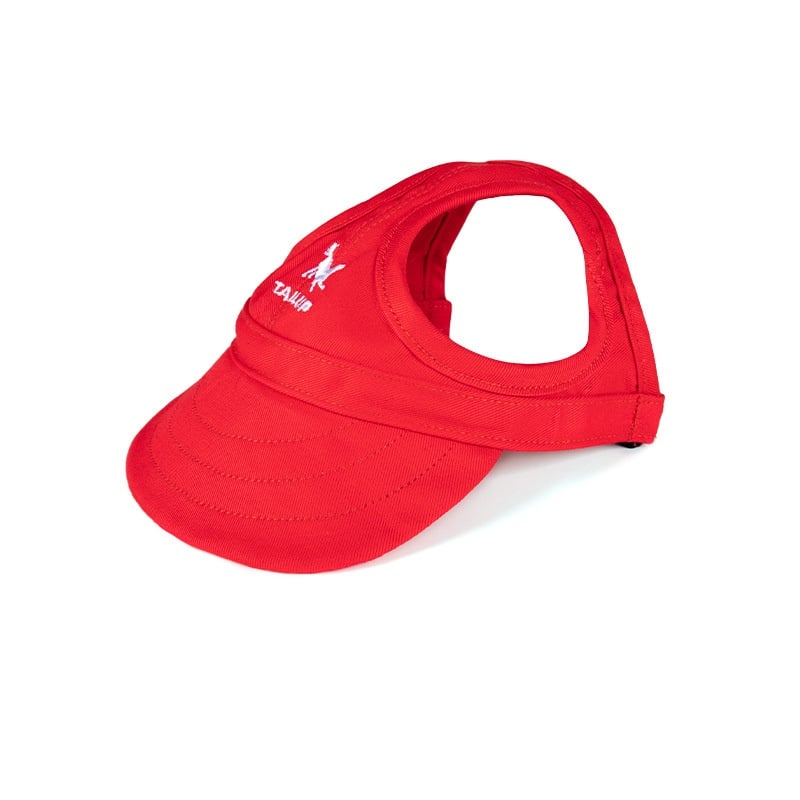 🔥 50 % RABATT – Outdoor-Sonnenschutzhaube für Hunde, leicht & atmungsaktiv 🌞🐶