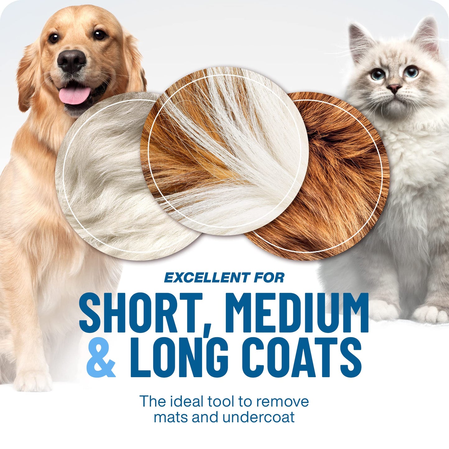 🐶🐱 KAUFE 2, ERHALTE 1 GRATIS! Professionelles Enthaarungs-Tool für Hunde & Katzen – Entfernt lose Haare effektiv, sanft zur Haut & einfache Reinigung ✨