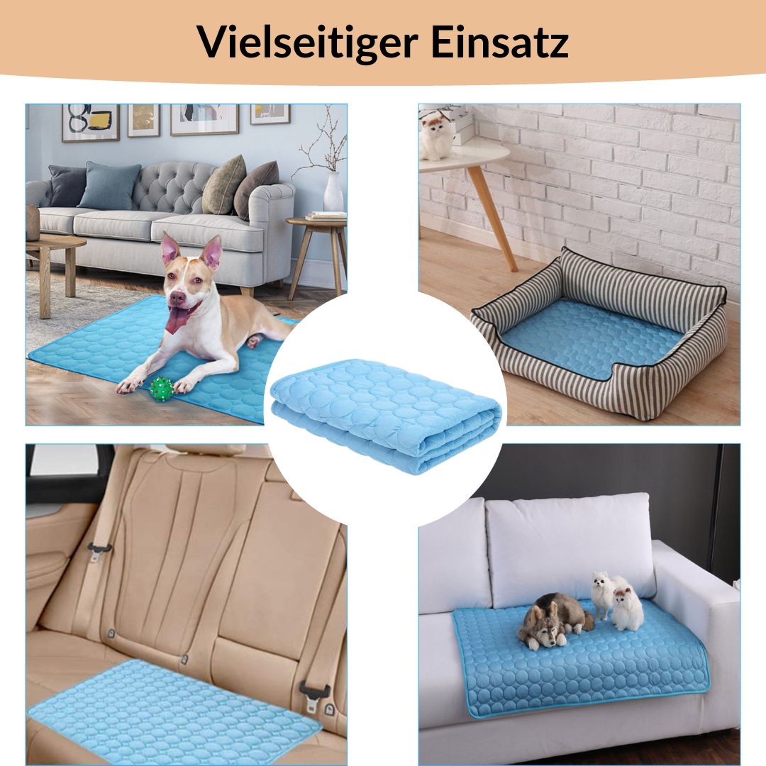 🐾❄️ 50% RABATT! Premium Kühlmatte für Hunde & Katzen – „Ice Silk“, atmungsaktiv, waschbar & in Farbverläufen – Perfekt für Sommer, Auto & Zuhause ✨