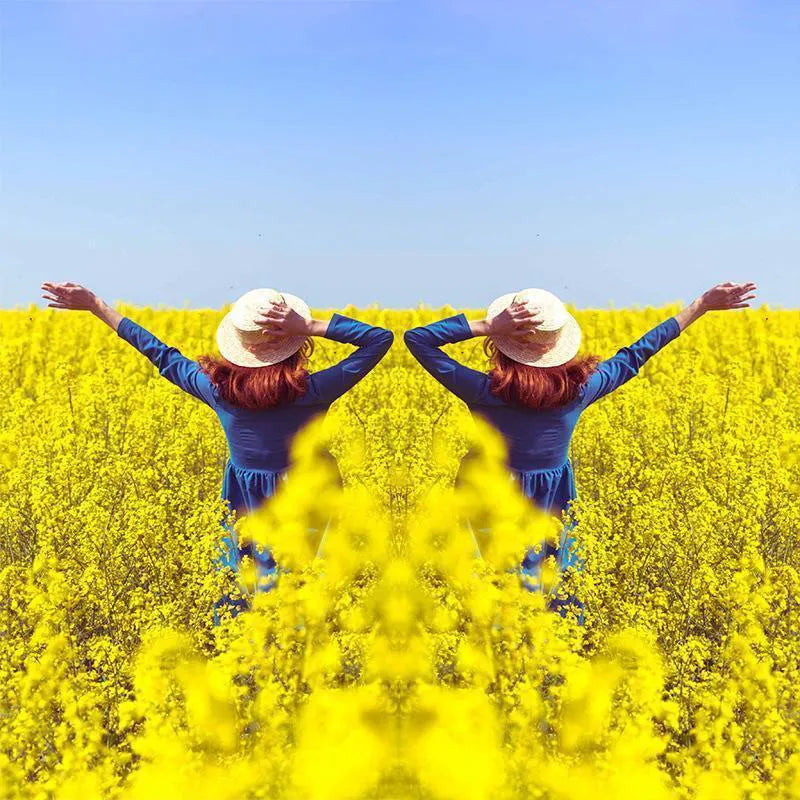 🎁 50 % RABATT! 📸✨ Spiegeleffekt-Objektiv – Nehmen Sie atemberaubende Reflexionen sofort auf 🌅🌟
