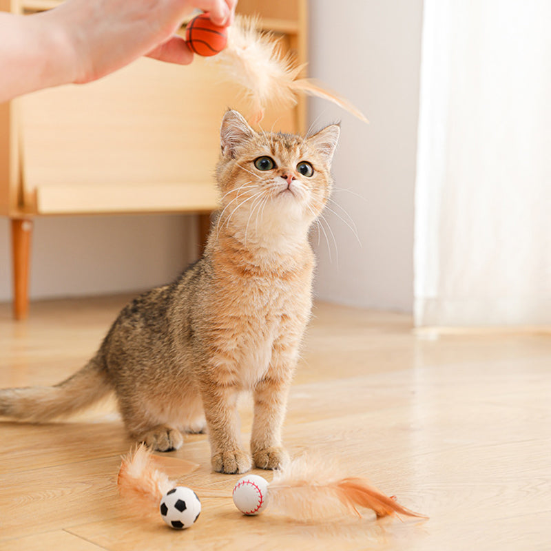🔥Solange der Vorrat reicht 50 % Rabatt!🎉Interaktiver Katzen-Hüpfball mit Feder