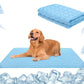 🐾❄️ 50% RABATT! Premium Kühlmatte für Hunde & Katzen – „Ice Silk“, atmungsaktiv, waschbar & in Farbverläufen – Perfekt für Sommer, Auto & Zuhause ✨