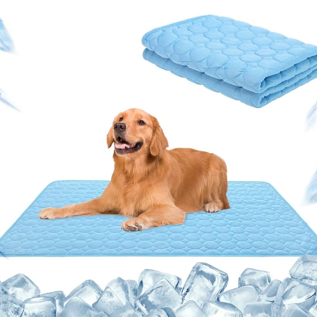 🐾❄️ 50% RABATT! Premium Kühlmatte für Hunde & Katzen – „Ice Silk“, atmungsaktiv, waschbar & in Farbverläufen – Perfekt für Sommer, Auto & Zuhause ✨