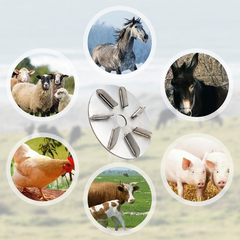 🐄 FELLENTFERNUNGSWERKZEUG FÜR NUTZTIERE – Professionelles Entfernen von Borsten & Wolle bei Schwein, Rind & Schaf