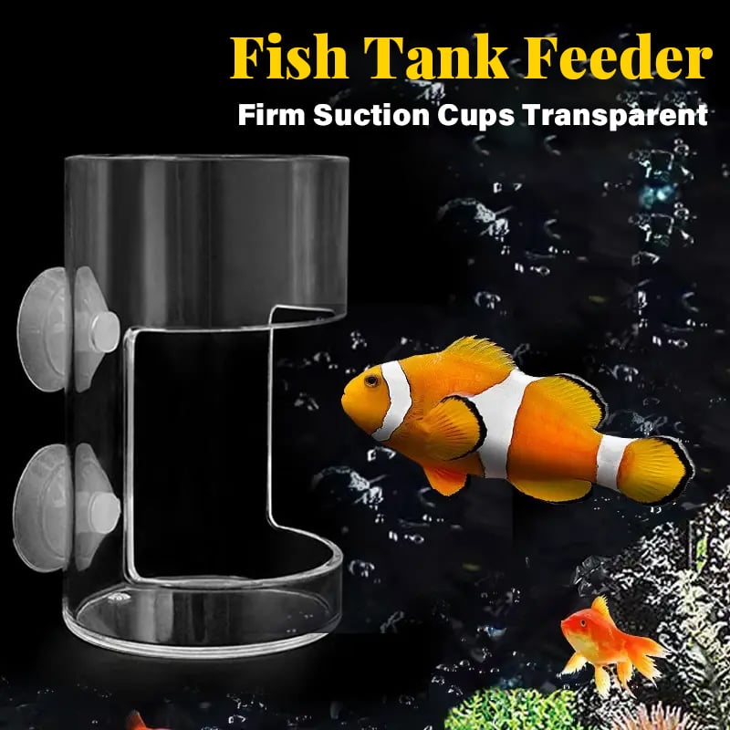 ⏳Begrenzte Zeit 50% Rabatt💥🐟Aquarien-Futterring und Schale