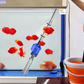 🐟🪸Elektrischer Saugnapf-Aquarium-Wasserwechsler-Filterreiniger