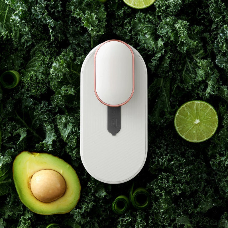 Mini Sterilizing & Freshness Deodorizer for Refrigerator