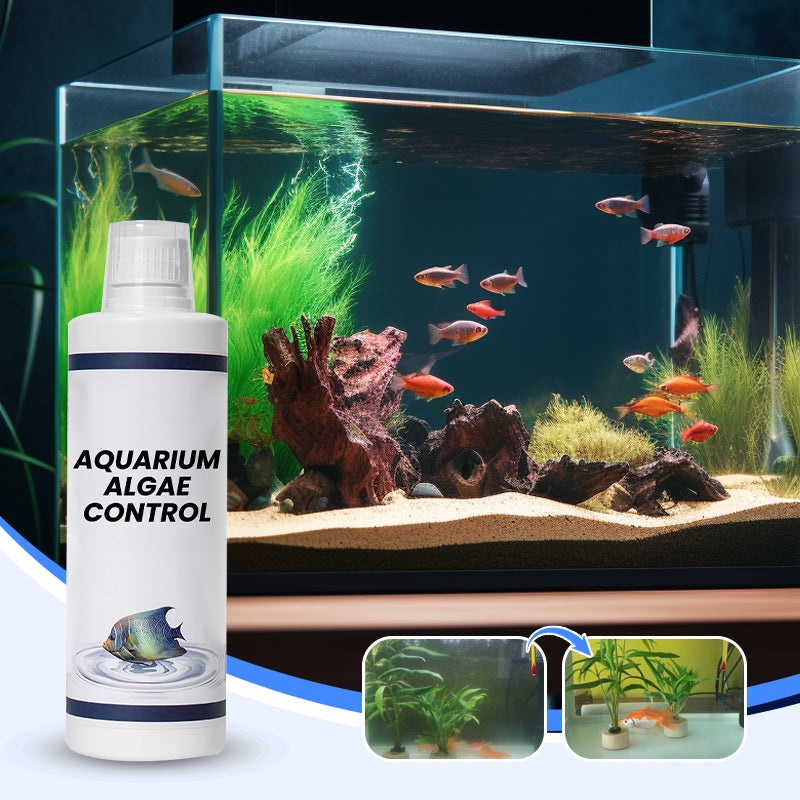 🏆Kaufen Sie 3 und erhalten Sie 2 gratis💧Leistungsstarker Wasserklärer für Aquarien