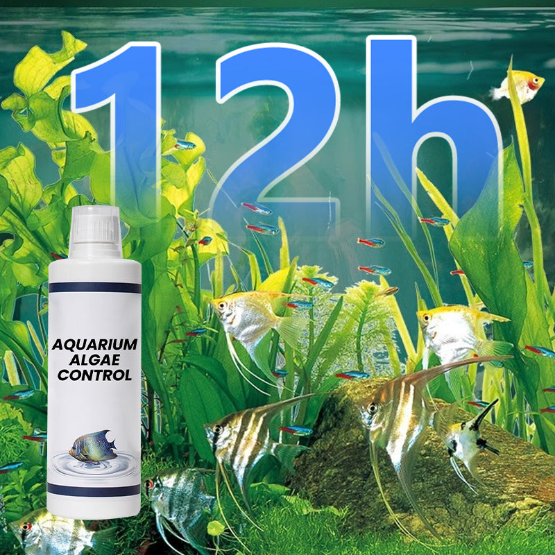 🏆Kaufen Sie 3 und erhalten Sie 2 gratis💧Leistungsstarker Wasserklärer für Aquarien