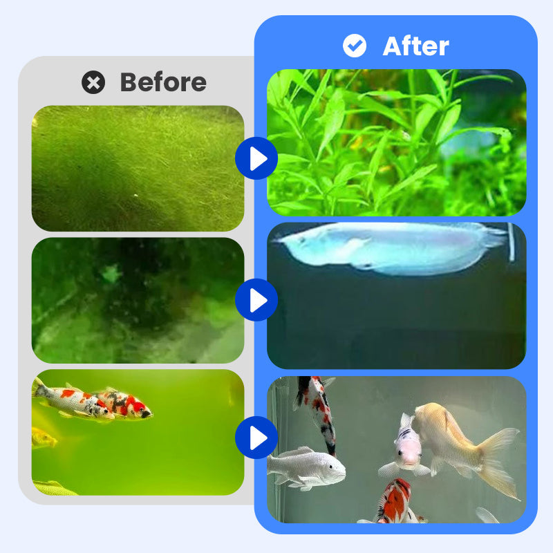 🏆Kaufen Sie 3 und erhalten Sie 2 gratis💧Leistungsstarker Wasserklärer für Aquarien