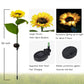🌻 NUR FÜR KURZE ZEIT: 50 % RABATT! ✨ Sonnenblumen-Solarleuchten – Automatisches Ein- und Ausschalten, 14 Stunden Leuchtdauer, wasserdicht nach IP65 ☀️