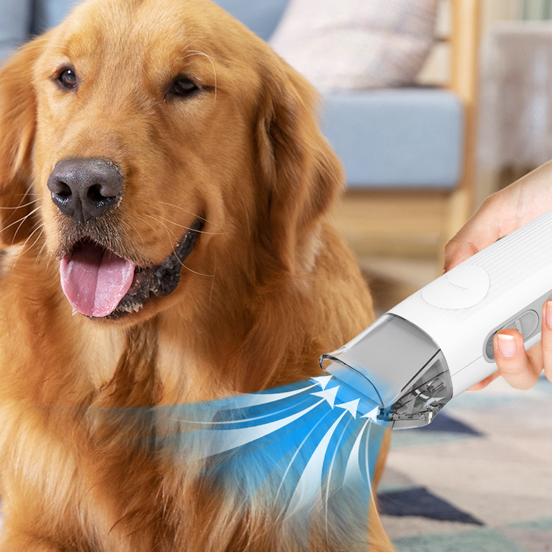 🐕⏰ ZEITLICH BEGRENZTES SONDERANGEBOT – 50% RABATT! Multifunktionelles Staubsauger-Set für die Haustierpflege – Leistungsstark, vielseitig & mit speziellen Bürstenaufsätzen 🧹