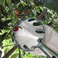 🍎🧺 50% RABATT! Obstpflücker Hauptkorb – Müheloses Ernten von Äpfeln, Birnen & Kirschen ohne Leiter 🌳✨