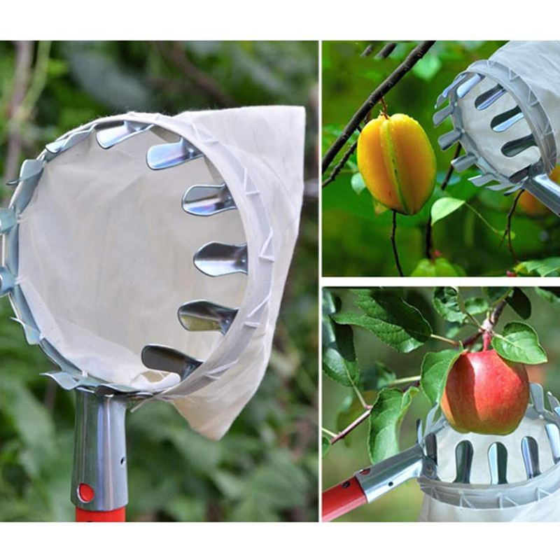 🍎🧺 50% RABATT! Obstpflücker Hauptkorb – Müheloses Ernten von Äpfeln, Birnen & Kirschen ohne Leiter 🌳✨