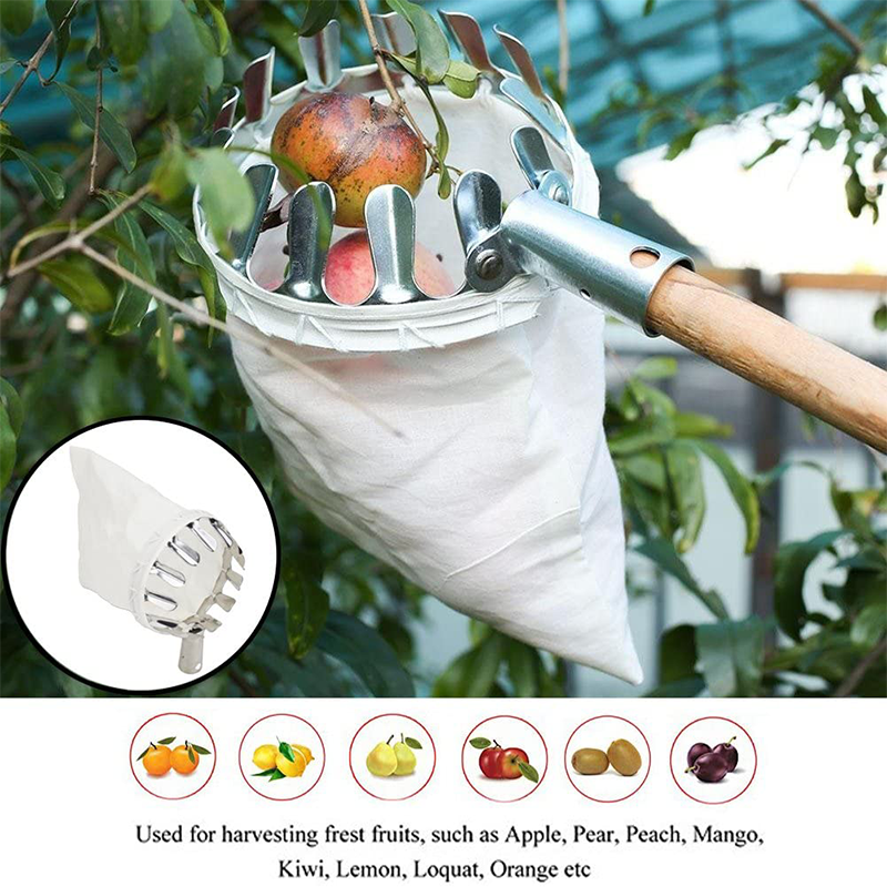 🍎🧺 50% RABATT! Obstpflücker Hauptkorb – Müheloses Ernten von Äpfeln, Birnen & Kirschen ohne Leiter 🌳✨