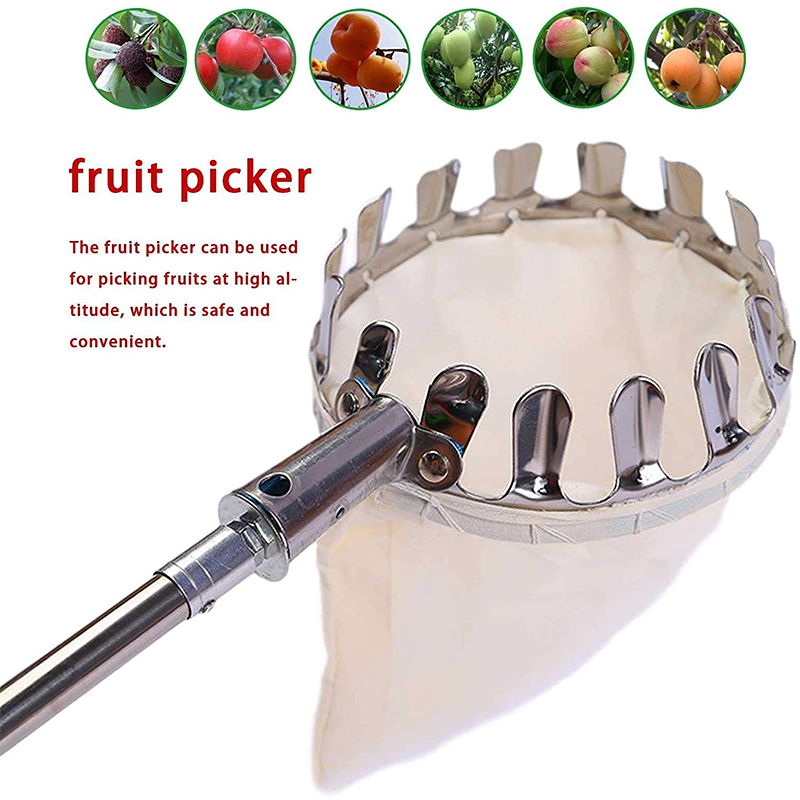 🍎🧺 50% RABATT! Obstpflücker Hauptkorb – Müheloses Ernten von Äpfeln, Birnen & Kirschen ohne Leiter 🌳✨