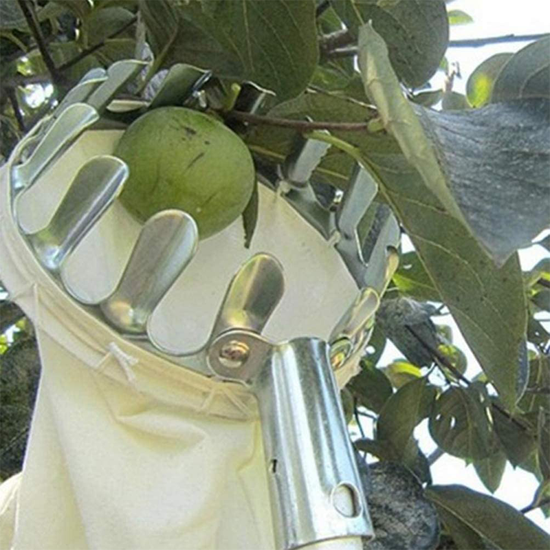 🍎🧺 50% RABATT! Obstpflücker Hauptkorb – Müheloses Ernten von Äpfeln, Birnen & Kirschen ohne Leiter 🌳✨