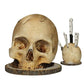 💀🎃 HALLOWEEN-ÜBERRASCHUNG – BIS ZUM HALBEN PREIS! Kreativer Totenkopf-Messerhalter aus Harz – Gruselig, praktisch & perfekt für Halloween-Deko & Küche ✨