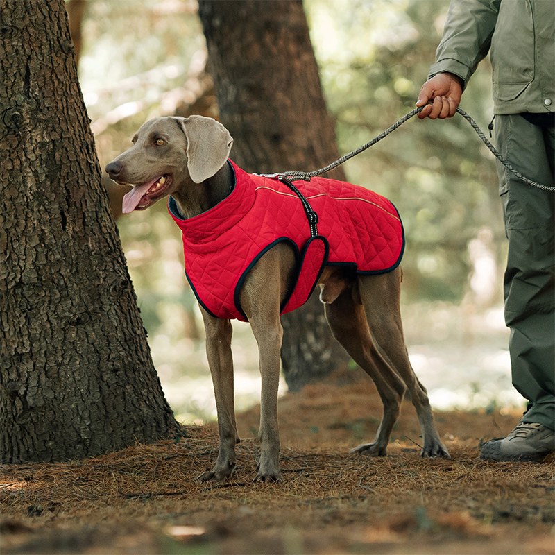🐕🐕2025 neuestes Modell 🌈 Winter-Reflexmantel für Hunde im Freien