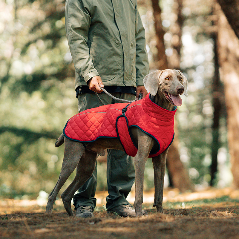 🐕🐕2025 neuestes Modell 🌈 Winter-Reflexmantel für Hunde im Freien