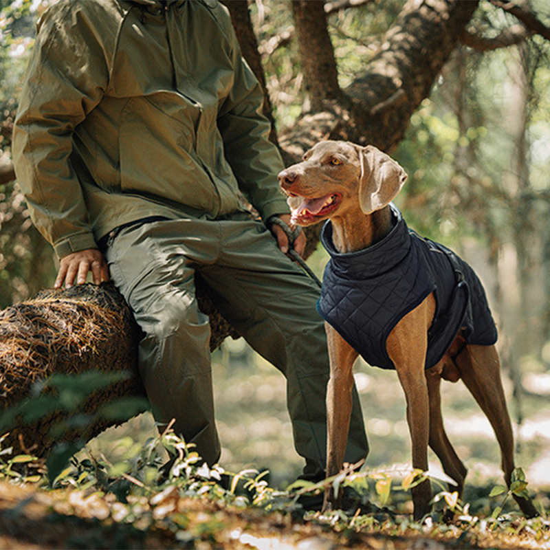 🐕🐕2025 neuestes Modell 🌈 Winter-Reflexmantel für Hunde im Freien