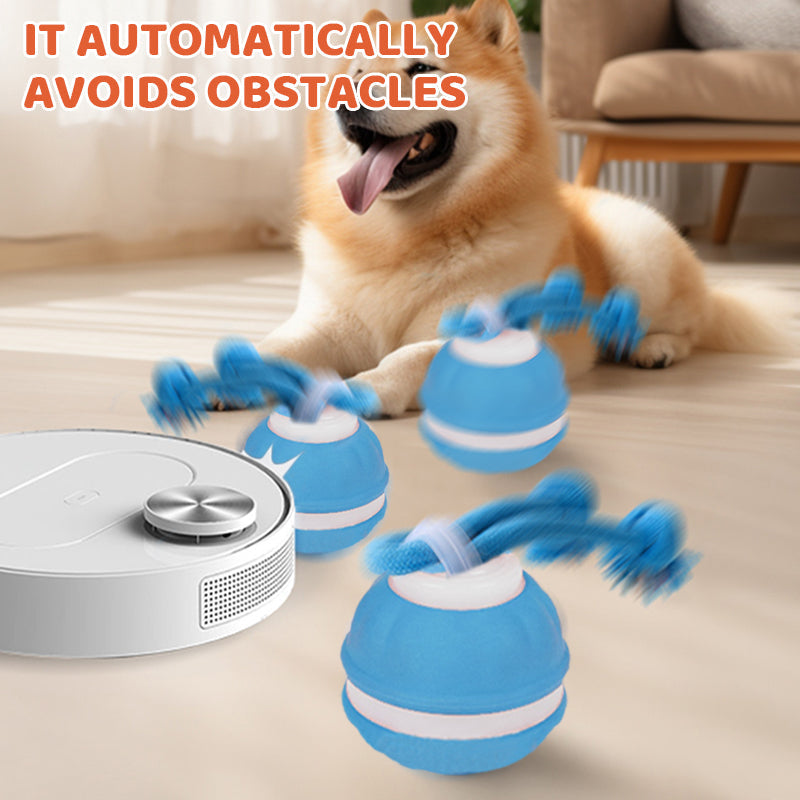 🎉50 % RABATT！！！Interaktiver rollender Katzenball mit Vogelstimmen