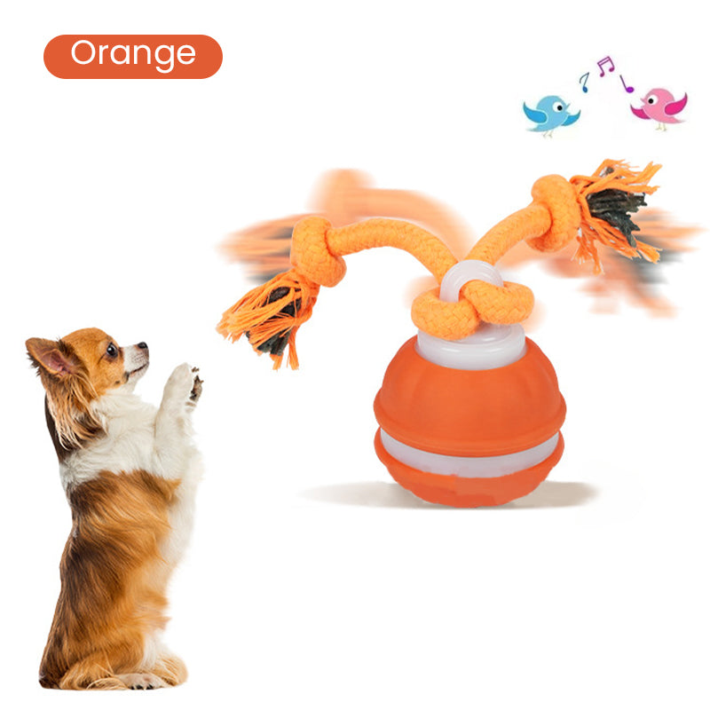 🎉50 % RABATT！！！Interaktiver rollender Katzenball mit Vogelstimmen