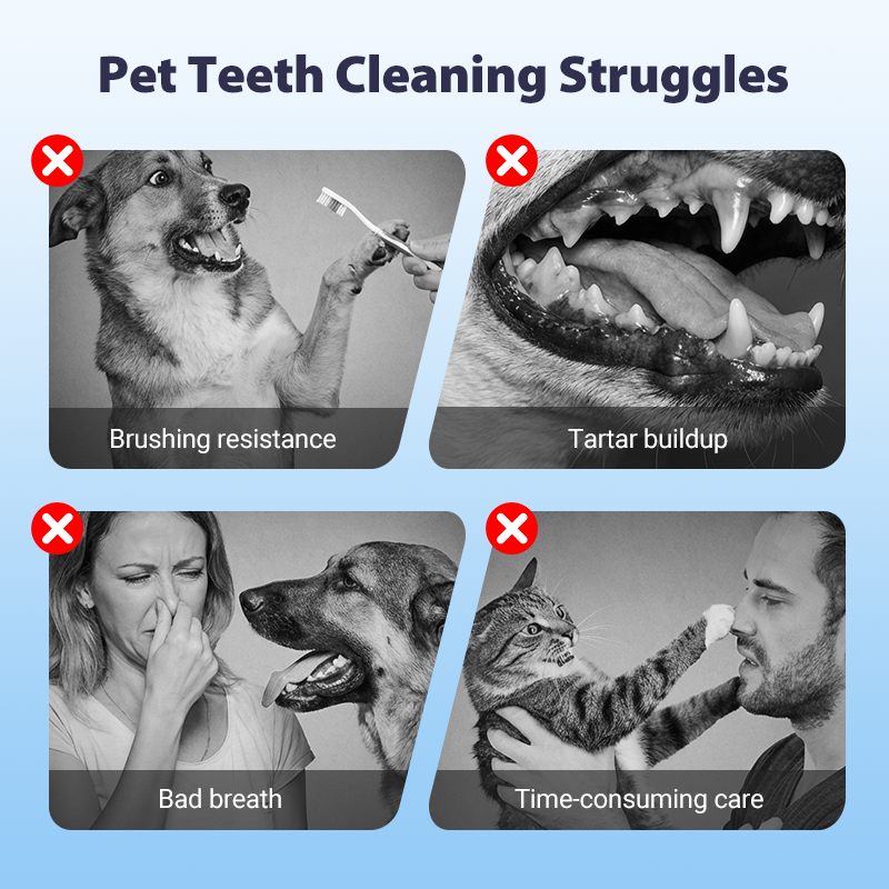 🐾✨ Zahnpflegespray für Haustiere – Ohne Bürste, ganz einfach & sanft! 😊🐶🐱🦷