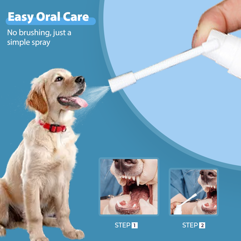 🐾✨ Zahnpflegespray für Haustiere – Ohne Bürste, ganz einfach & sanft! 😊🐶🐱🦷