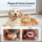 🐾✨ Zahnpflegespray für Haustiere – Ohne Bürste, ganz einfach & sanft! 😊🐶🐱🦷