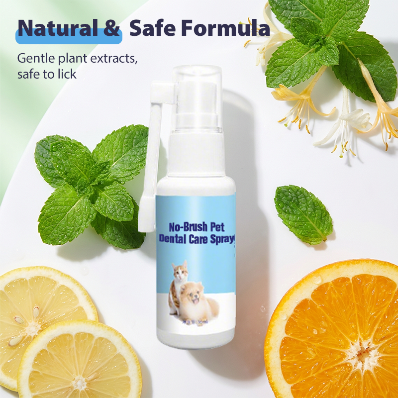 🐾✨ Zahnpflegespray für Haustiere – Ohne Bürste, ganz einfach & sanft! 😊🐶🐱🦷