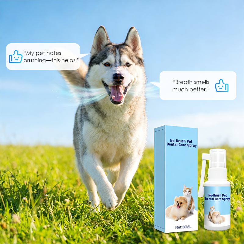 🐾✨ Zahnpflegespray für Haustiere – Ohne Bürste, ganz einfach & sanft! 😊🐶🐱🦷