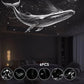 🌌✨ 50% RABATT! 2-in-1 Sternenhimmel-Projektor & Nachtlicht – Beruhigende Galaxie-Projektion – Perfekt für Kinderzimmer, Schlafzimmer & Entspannung – schafft eine magische Atmosphäre 🔥