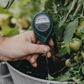 ⏰【Nur für kurze Zeit: 50 % sparen!】🌱Professionelles Bodenfeuchtigkeitsmessgerät für Zimmer- und Gartenpflanzen