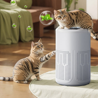 🌬️🛡️ 50% RABATT! Luftreiniger für Allergiker mit Aromatherapie – HEPA-Filter gegen Schimmel, Pollen & Feinstaub, beruhigende Aromen ✨