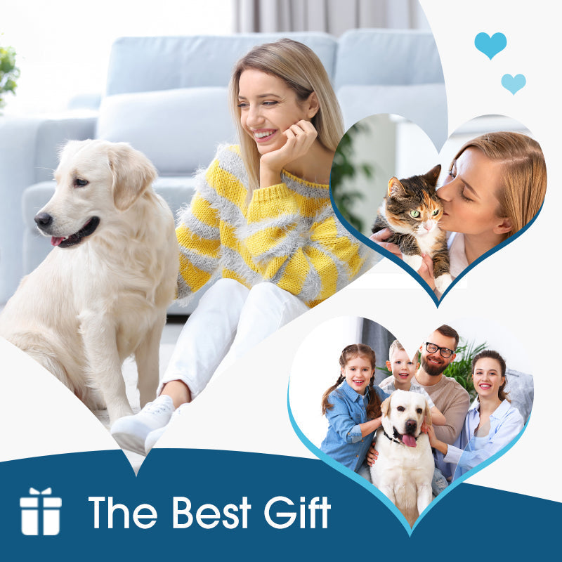 🐾👂 50% RABATT! Ohrenreiniger gegen Juckreiz für Hunde & Katzen – Sanft, entzündungshemmend & entfernt Ohrenschmalz – Für saubere, gesunde Ohren ✨