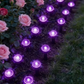💡🌿 SOLANGE DER VORRAT REICHT: 50% RABATT! Solarbetriebene Gartenwegleuchten – Automatisches Ein/Aus, wasserdicht & perfekt für Wege, Einfahrten & Terrassen ✨