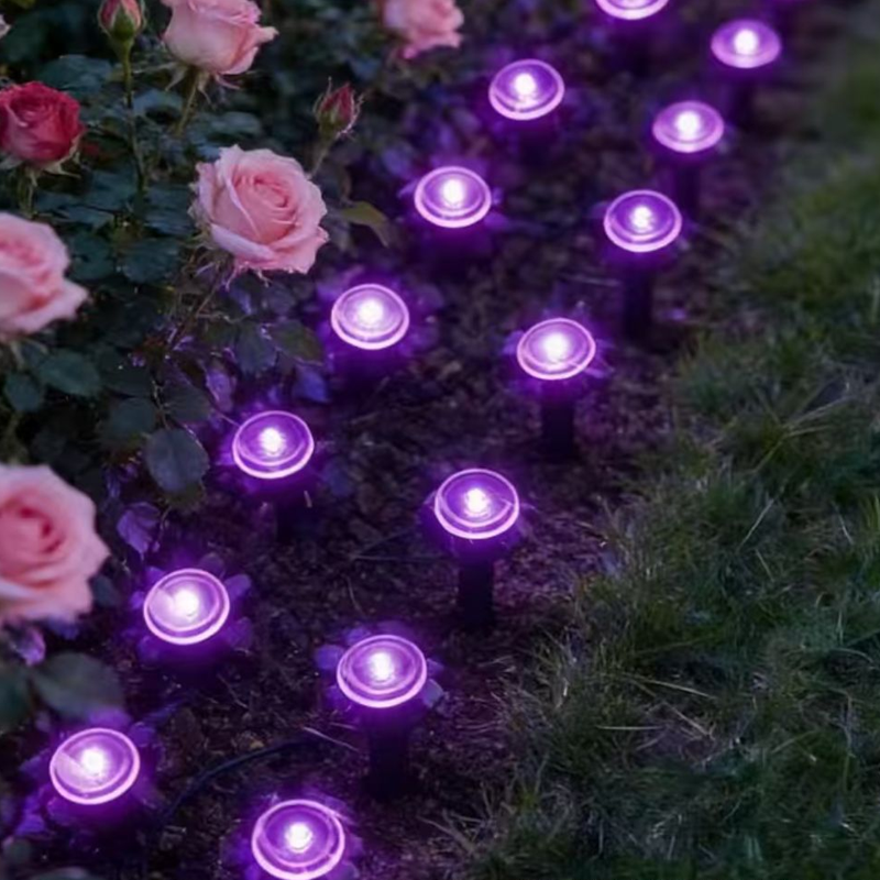 💡🌿 SOLANGE DER VORRAT REICHT: 50% RABATT! Solarbetriebene Gartenwegleuchten – Automatisches Ein/Aus, wasserdicht & perfekt für Wege, Einfahrten & Terrassen ✨