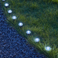 💡🌿 SOLANGE DER VORRAT REICHT: 50% RABATT! Solarbetriebene Gartenwegleuchten – Automatisches Ein/Aus, wasserdicht & perfekt für Wege, Einfahrten & Terrassen ✨