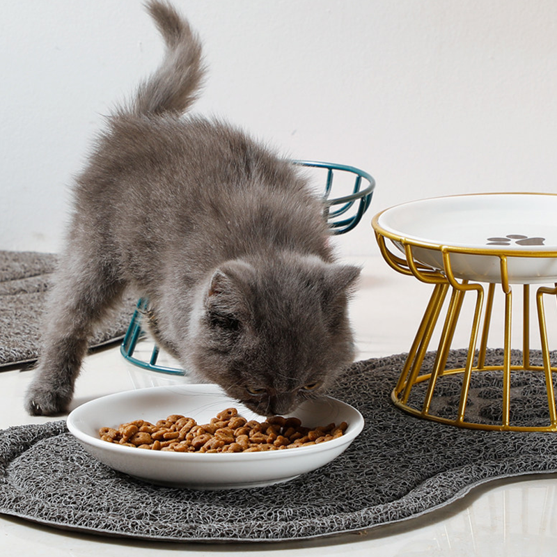 🐱 50% RABATT! 🥣 Erhöhter Keramik-Katzennapf mit Eisenständer – Schont Die Haltung, Rutschfest & Ideal Für Trocken- & Nassfutter 🐈