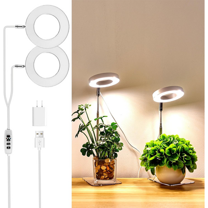 🌱💡 50% RABATT! LED-Engelsring-Pflanzenwachstumslampe – Vollspektrum, energieeffizient & mit einstellbarer Helligkeit für gesunde Pflanzen ✨
