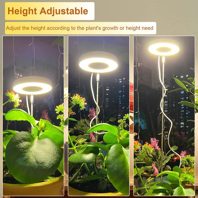 🌱💡 50% RABATT! LED-Engelsring-Pflanzenwachstumslampe – Vollspektrum, energieeffizient & mit einstellbarer Helligkeit für gesunde Pflanzen ✨