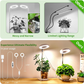 🌱💡 50% RABATT! LED-Engelsring-Pflanzenwachstumslampe – Vollspektrum, energieeffizient & mit einstellbarer Helligkeit für gesunde Pflanzen ✨