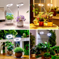 🌱💡 50% RABATT! LED-Engelsring-Pflanzenwachstumslampe – Vollspektrum, energieeffizient & mit einstellbarer Helligkeit für gesunde Pflanzen ✨