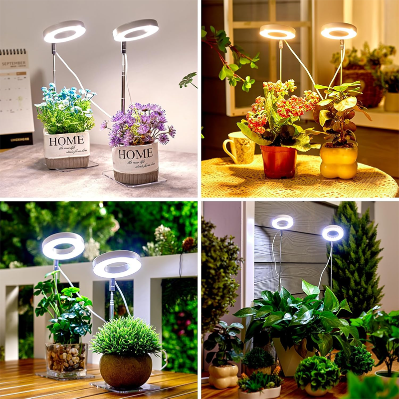 🌱💡 50% RABATT! LED-Engelsring-Pflanzenwachstumslampe – Vollspektrum, energieeffizient & mit einstellbarer Helligkeit für gesunde Pflanzen ✨